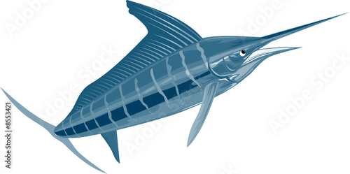 Sailfish