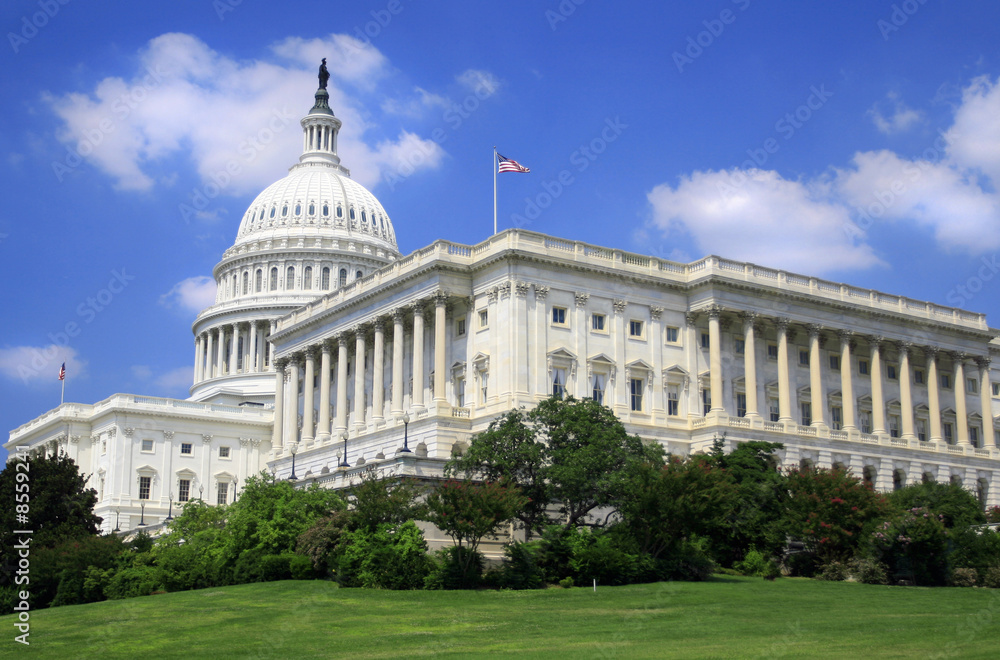 US Capitol Detail