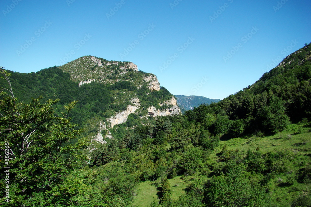 Le bénal,Haute vallée de l'Aude