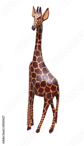 giraffe photo