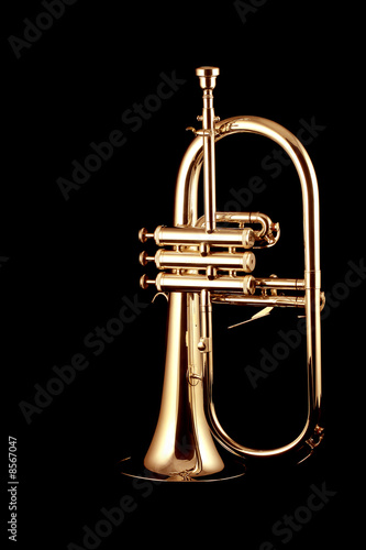 silver fluegelhorn in night