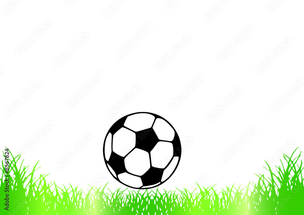 Fototapeta premium soccer ball on the grass