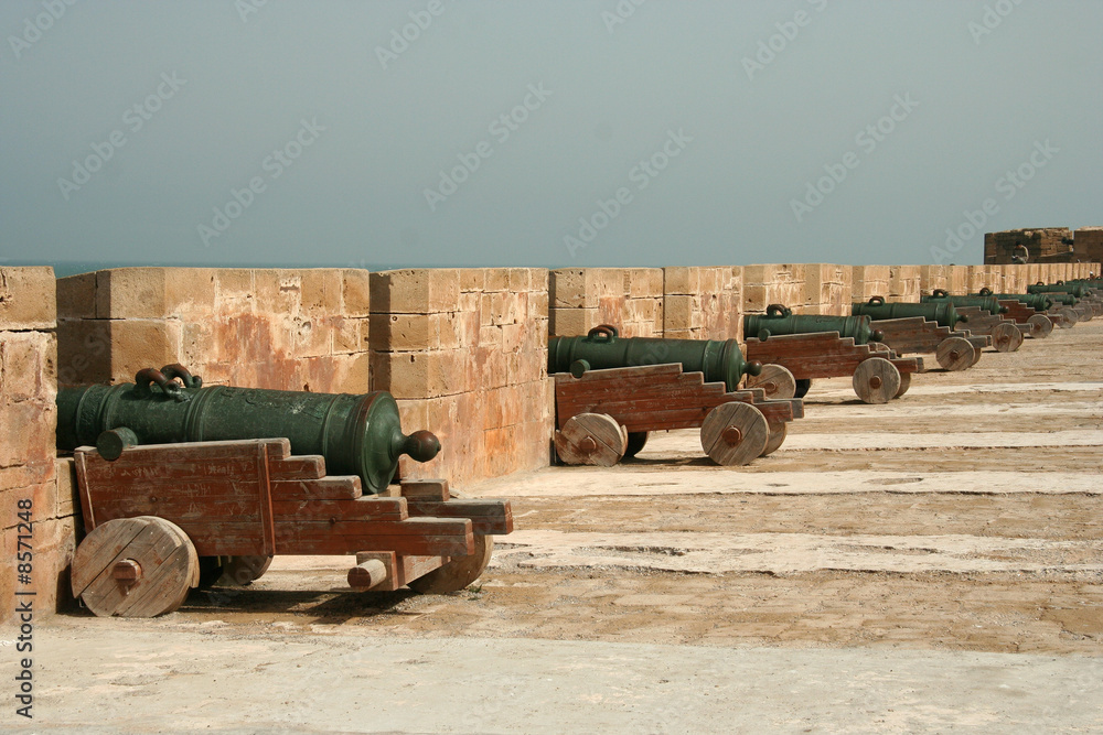 Ancient cannons