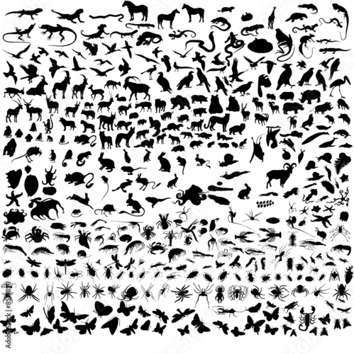 biggest collection of vector animals