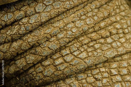 peau tortue alambra géante écaille épais plis