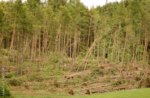 After the hurricane.