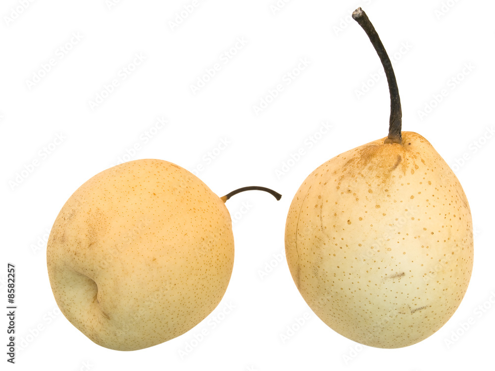 Two isolated pears against the white background Two isolated pears against the white background