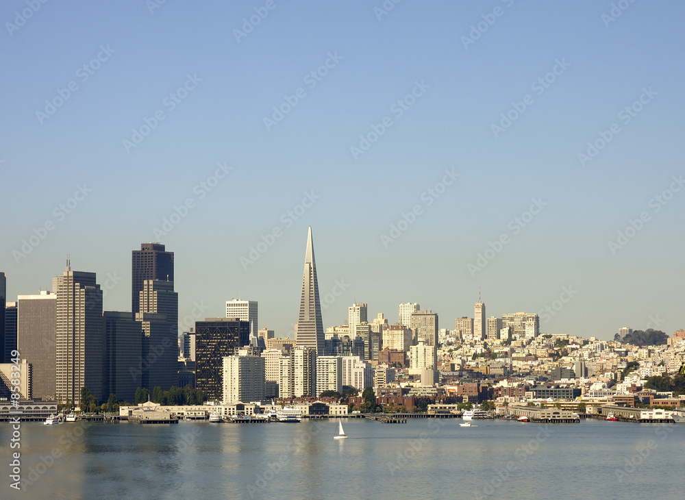 Naklejka premium San Francisco Skyline