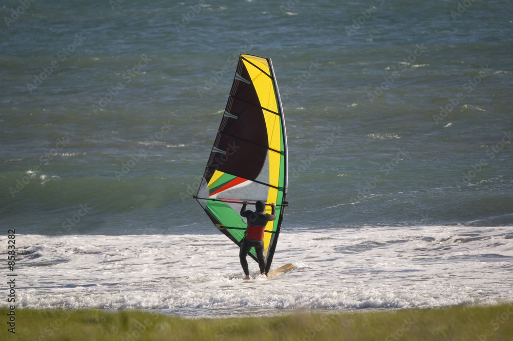 Sail boarder in the Pacific ocean