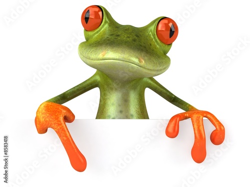 Grenouille avec un panneau blanc