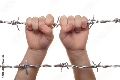 child hand on barbed wire photo