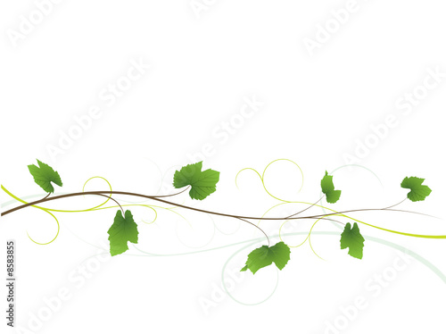 Vine floral background