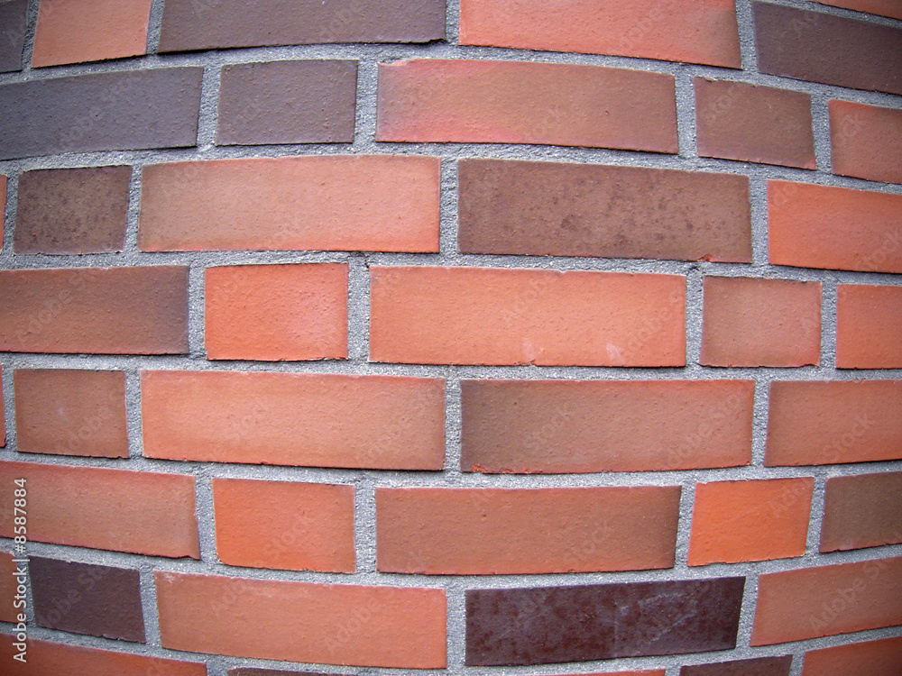 Obraz premium Wand unter die Lupe