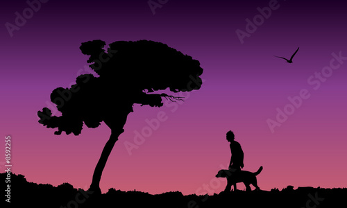 young man walking his dog at purple sunset, vector illustration © Nubephoto