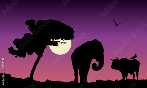 purple sunset over africa, vector illustration