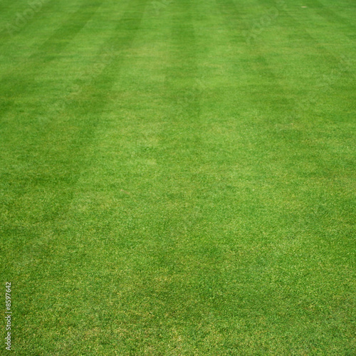 grass cut with stripes