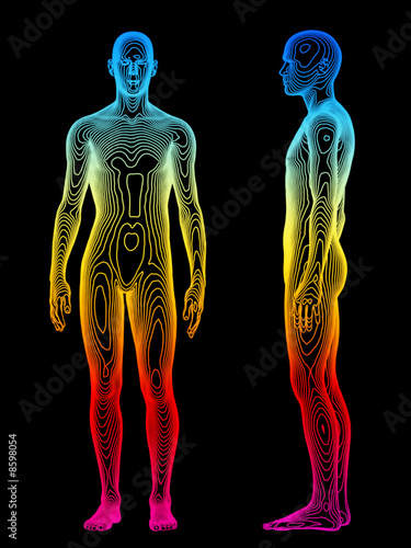 Body Analysis