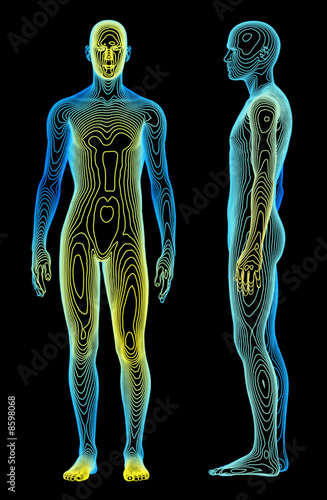 Body Analysis