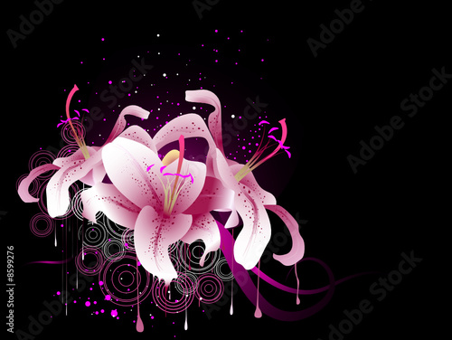 Star Gazer Lillies