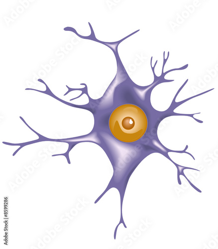 Neuron