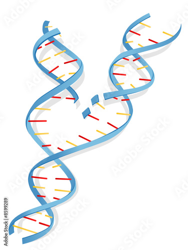 DNA