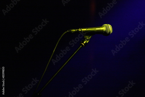Microphone