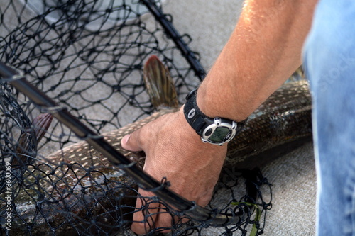 Big Catch