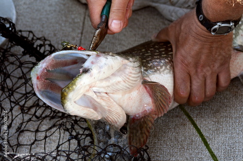 Catch and Release