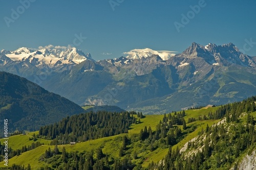 Swiss Alpine Landscape from Leysin SHowing Mont Blanc
