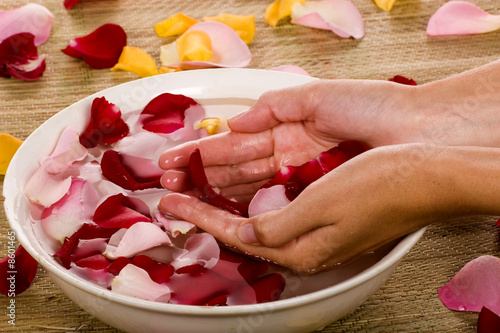 Woman hands and rose petals