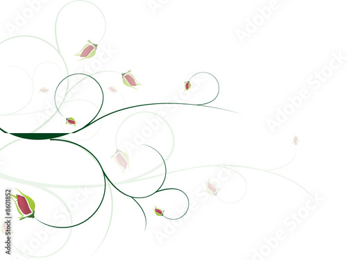 Elegant rose background