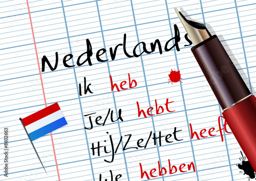 Cours de néerlandais (conjugaison)