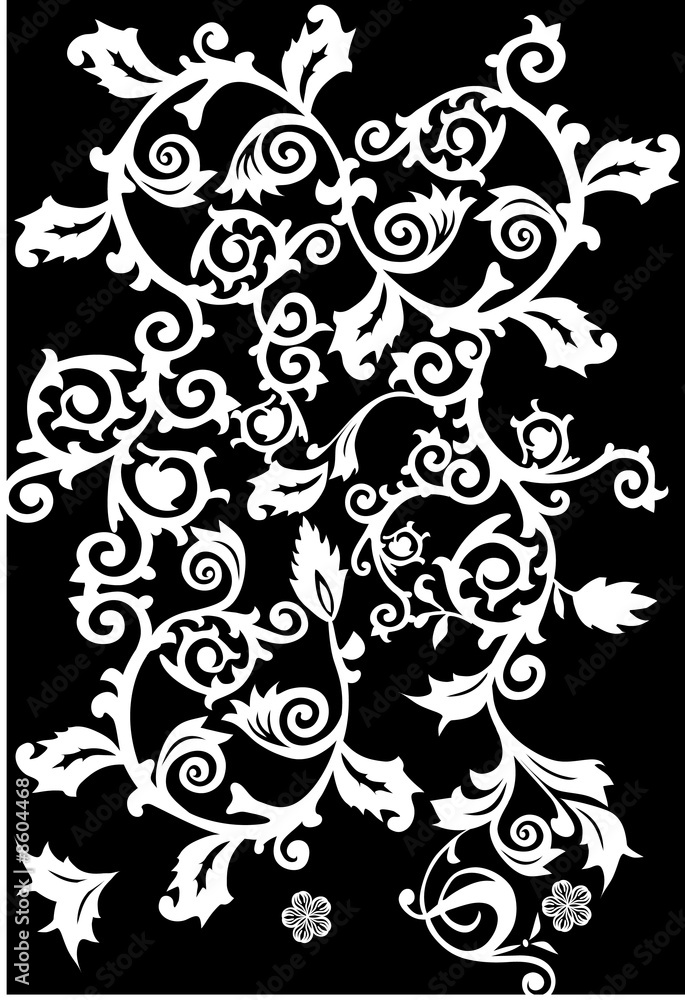 white curles on black white curles on black