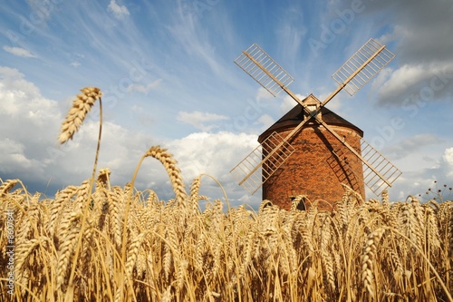 Valokuvatapetti Windmill in Chvalkovice (Czech Republic)