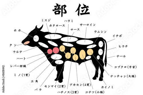 部位