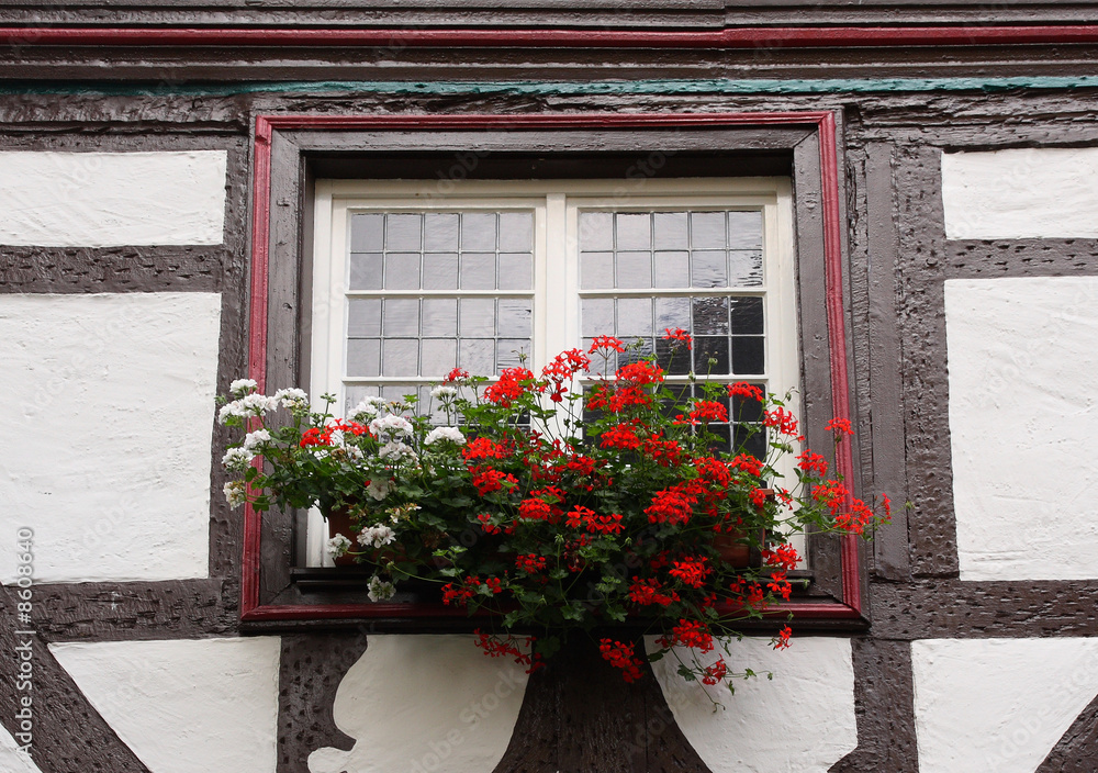 Fachwerkhaus mit Blumen