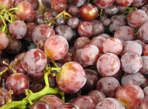 Bunch of grapes fresh