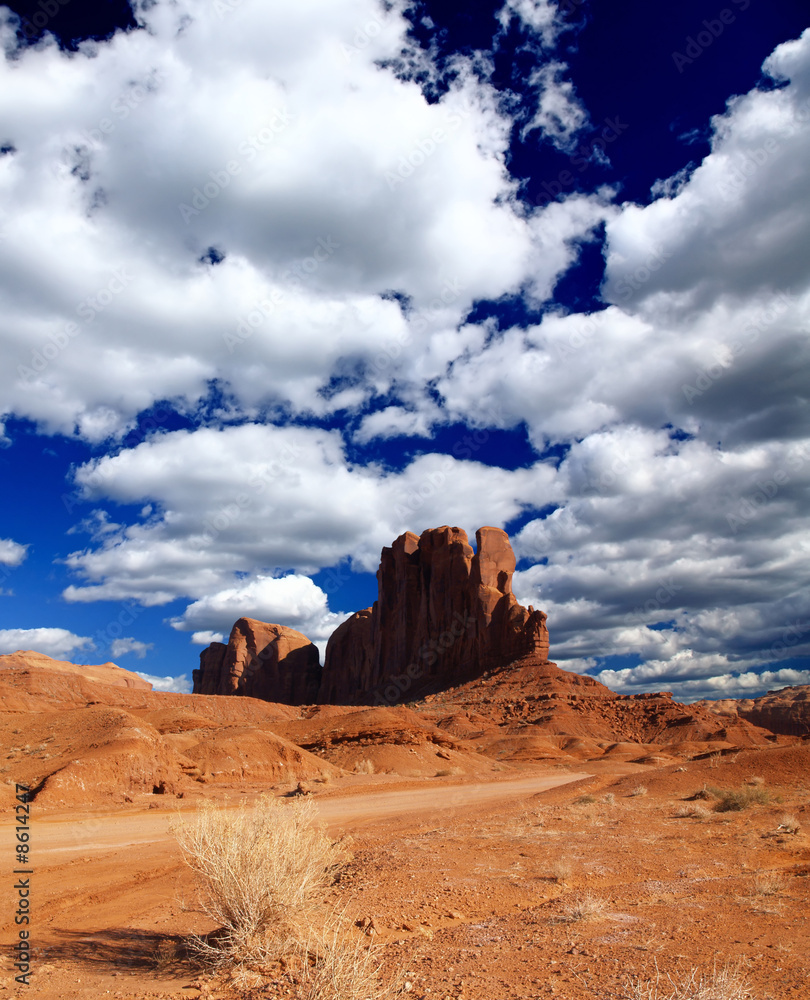 Fototapeta premium The Monument Valley Navajo Tribal Park