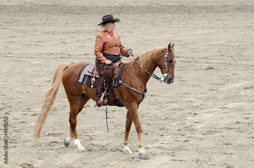Woman riding Saddlebred horse © Jeffrey Banke