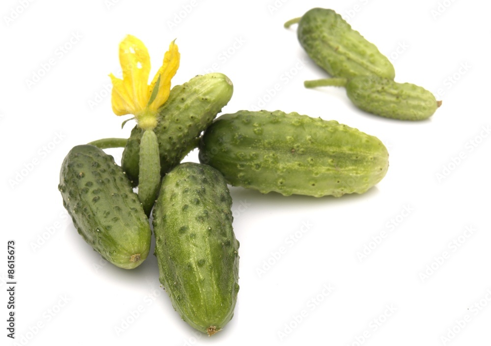 cucumber cucumber