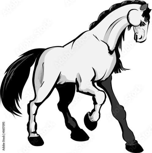 Whine horse