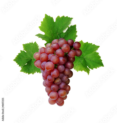 Pink grape cluster