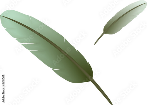 Feathers