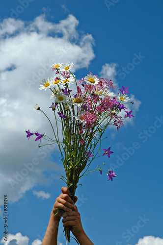 Bouquet of field flowers in hands of the child.