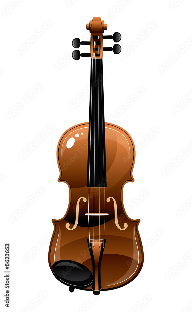 Obraz premium violin