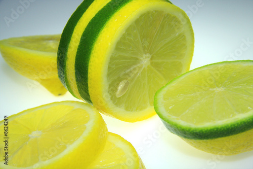 Zitrone & Lemon #8624249