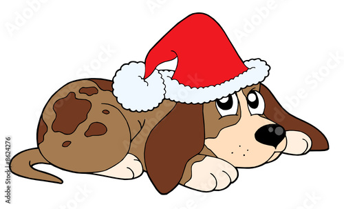 Cute dog in Christmas cap