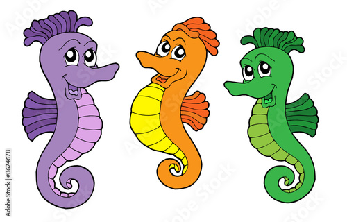 Cute sea horses