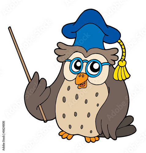 Owl teacher