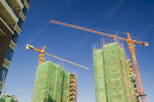 Crane and building photo